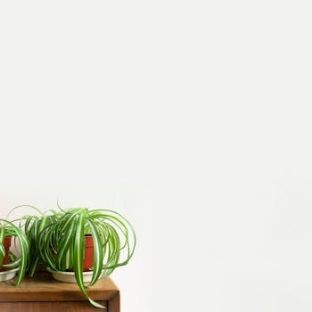 Dyson Purifier Cool TP07