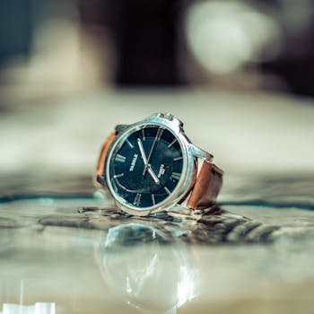 Titan Karishma Analog Watch